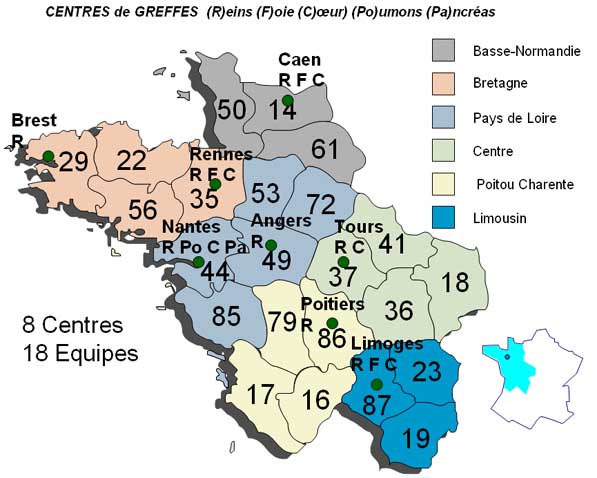 Les centres de greffes